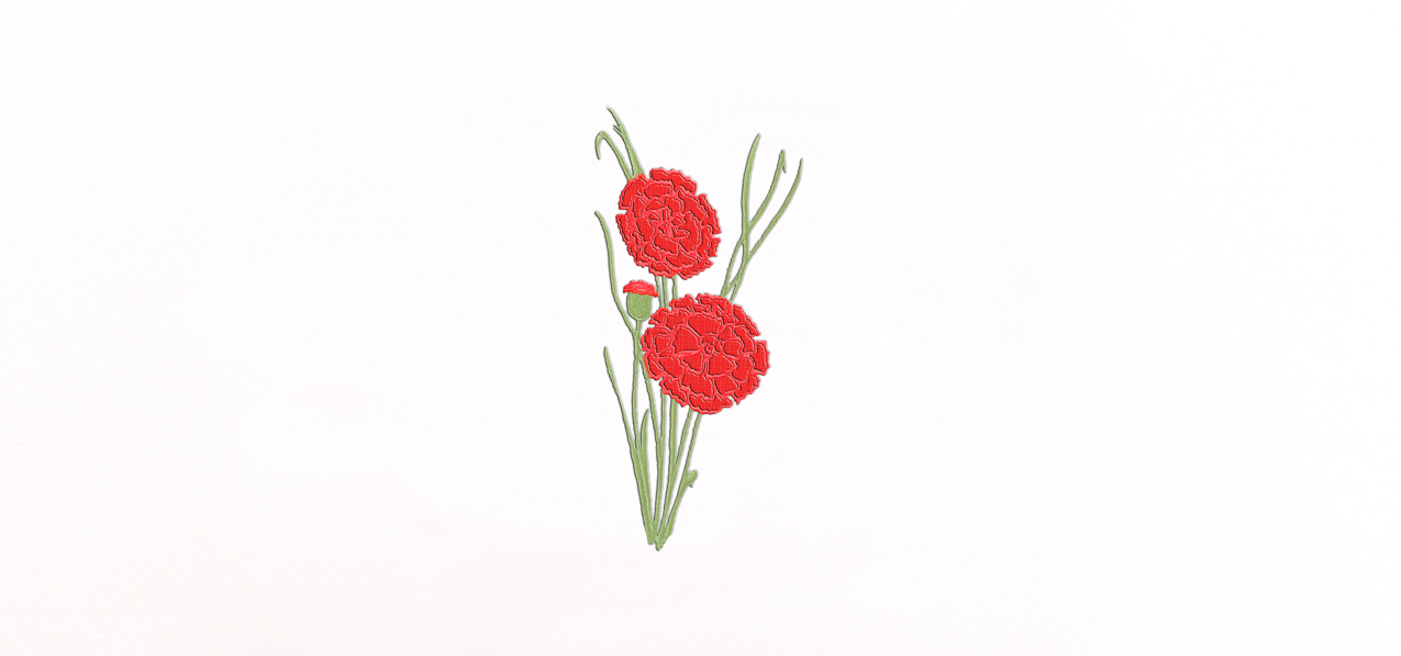 Red Carnation on White PROOF